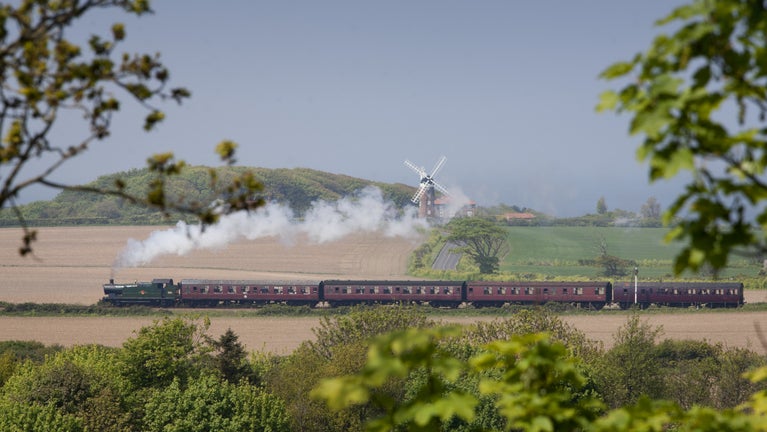 View through the trees of a steam train with the sea in the background
